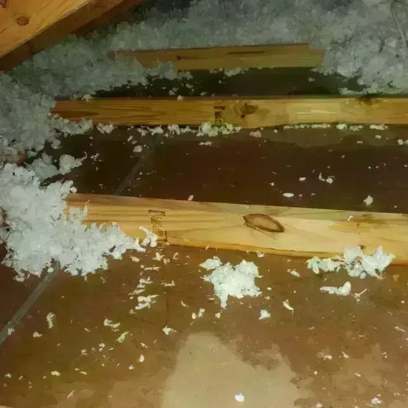 Attic Water Damage in Auburn Hills, MI