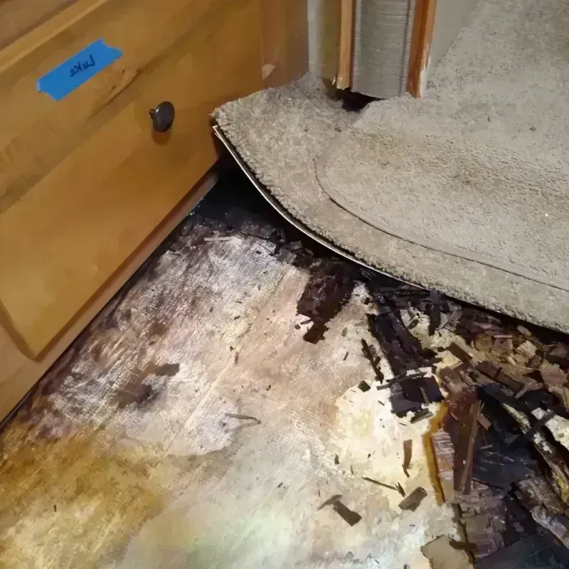 Wood Floor Water Damage in Auburn Hills, MI